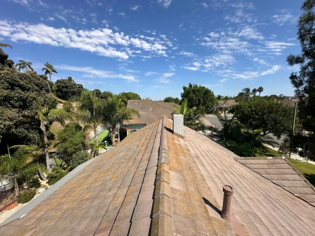 Roof Maintenance Essentials: Best Practices & Winning Plays