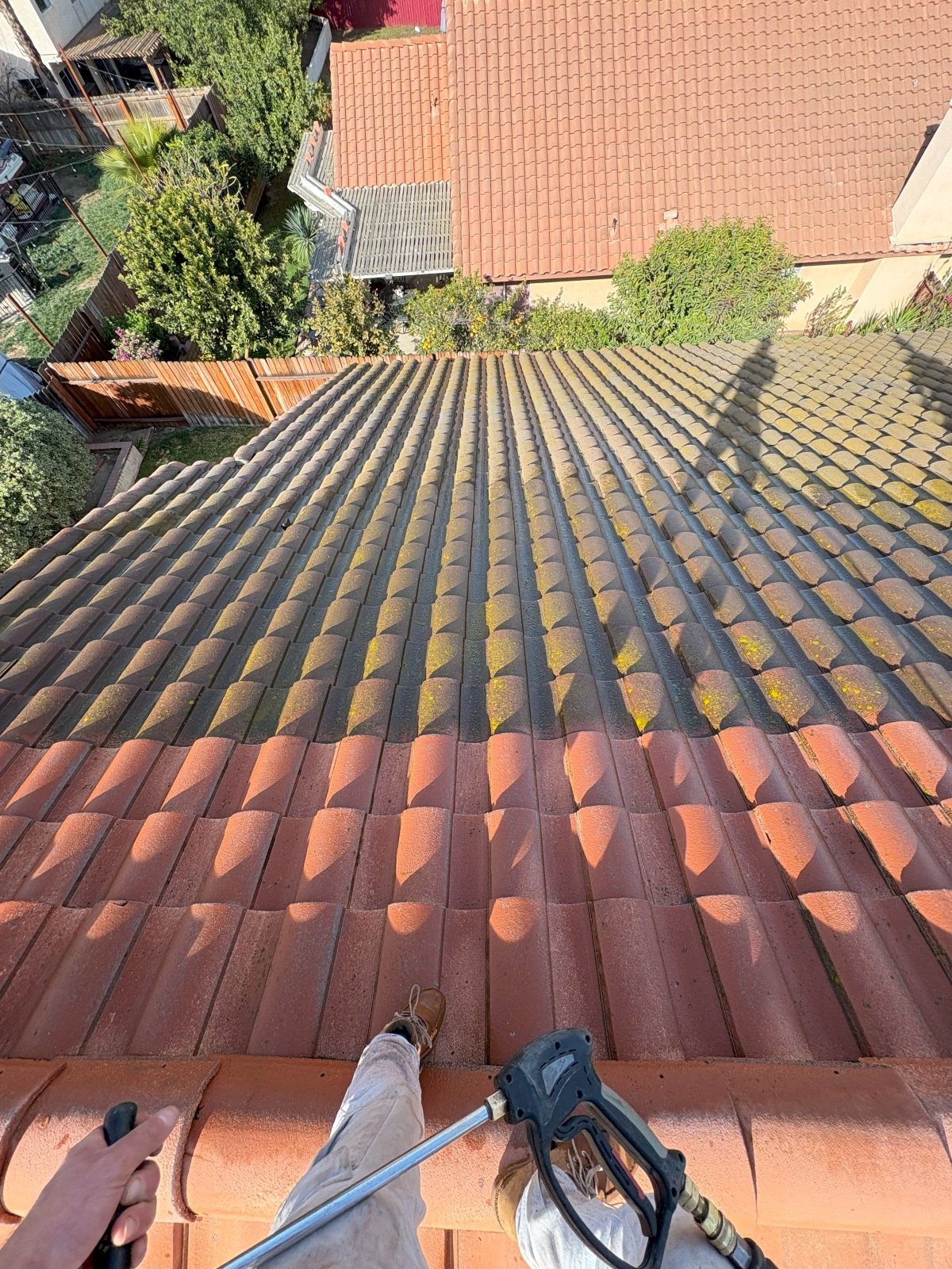 During-photo_vGoogle.jpg