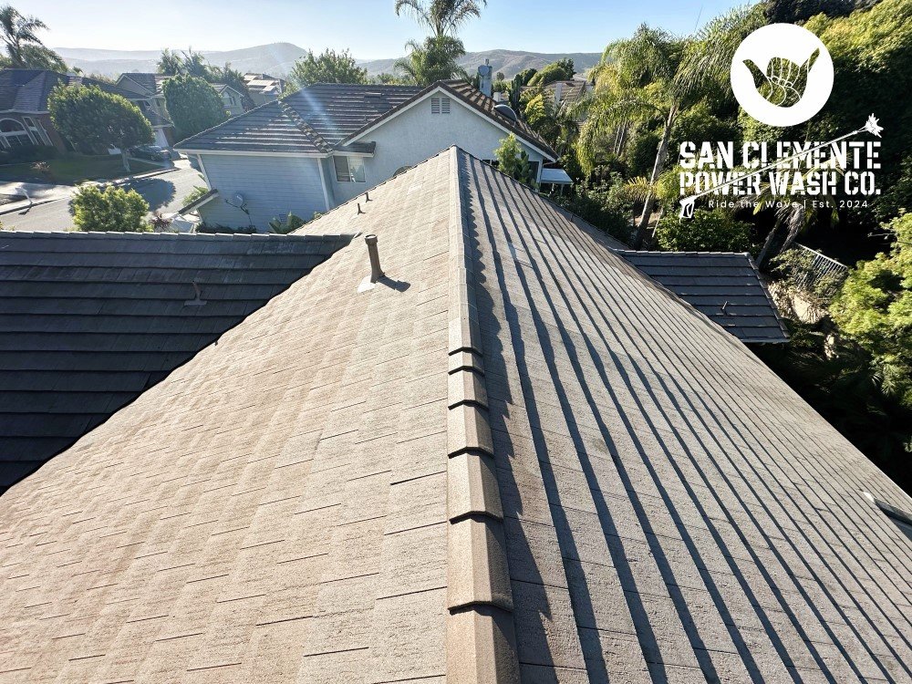 SCPW-clean-roof-good-piuc_v2JPEG-1.jpeg